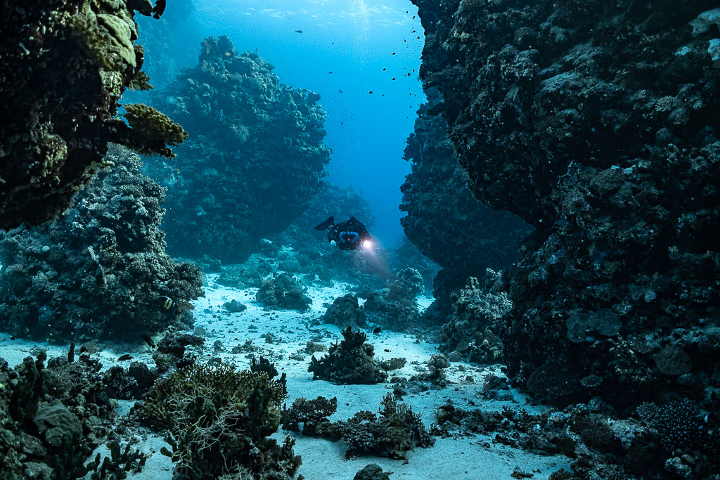 Rebreather diver in a sandy valley between coral walls, Habili Gafar and Umm Aruk, Red Sea, Egypt