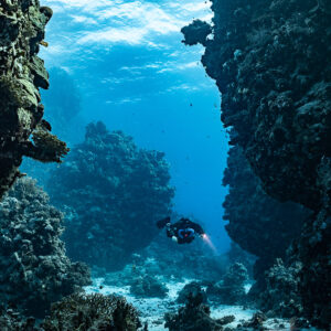 Rebreather diver at the bottom of a coral canyon under bright surface, Habili Gafar and Umm Aruk, Red Sea, Egypt