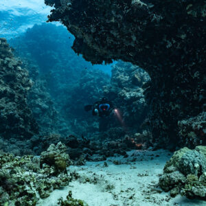 Rebreather diver beneath a large coral overhang, Habili Gafar and Umm Aruk, Red Sea, Egypt