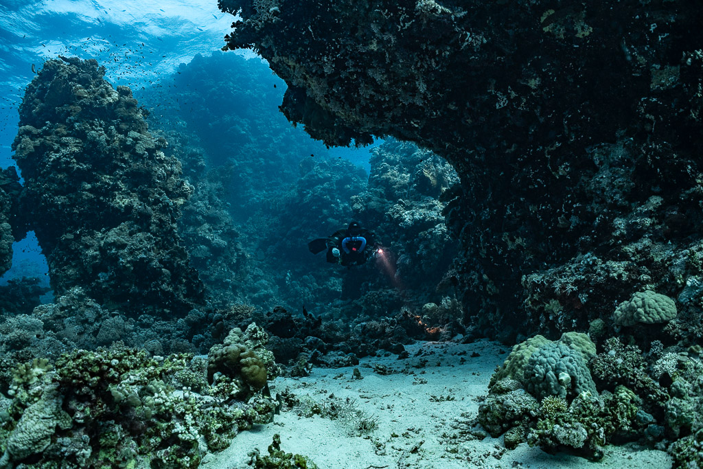 Rebreather diver beneath a large coral overhang, Habili Gafar and Umm Aruk, Red Sea, Egypt