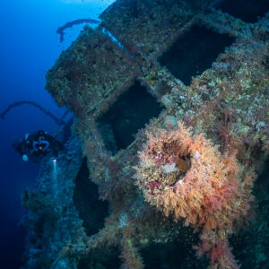 Rebreather diver beside soft-coral-covered structures of the Numidia wreck, Big Brother, Red Sea, Egypt