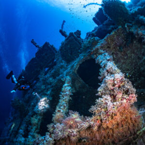 Rebreather diver beside soft corals on the Numidia wreck, Big Brother, Red Sea, Egypt