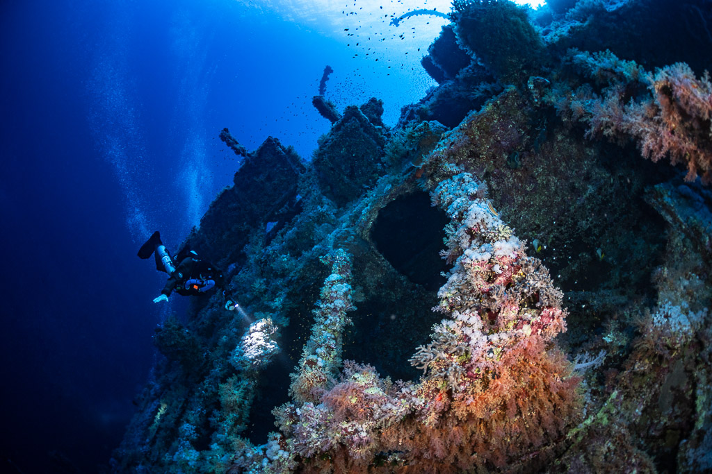 Rebreather diver beside soft corals on the Numidia wreck, Big Brother, Red Sea, Egypt