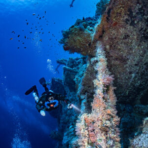 Rebreather diver ascending along a coral-covered mast of the Numidia, Big Brother, Red Sea, Egypt