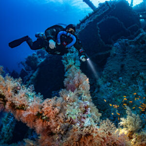 Rebreather diver over soft-coral-covered beams of the Numidia, Big Brother, Red Sea, Egypt