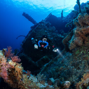 Rebreather diver amid soft corals on the Numidia wreck, close view, Big Brother, Red Sea, Egypt