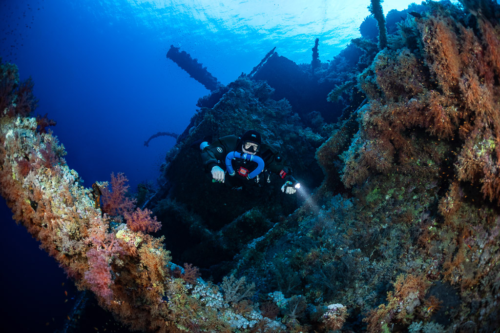 Rebreather diver amid soft corals on the Numidia wreck, close view, Big Brother, Red Sea, Egypt