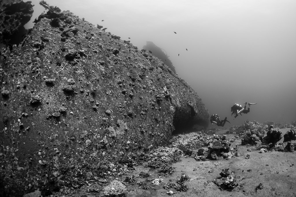 Vue en noir et blanc d’une coque couverte de corail et de trois plongeurs au loin, mer Rouge, Égypte