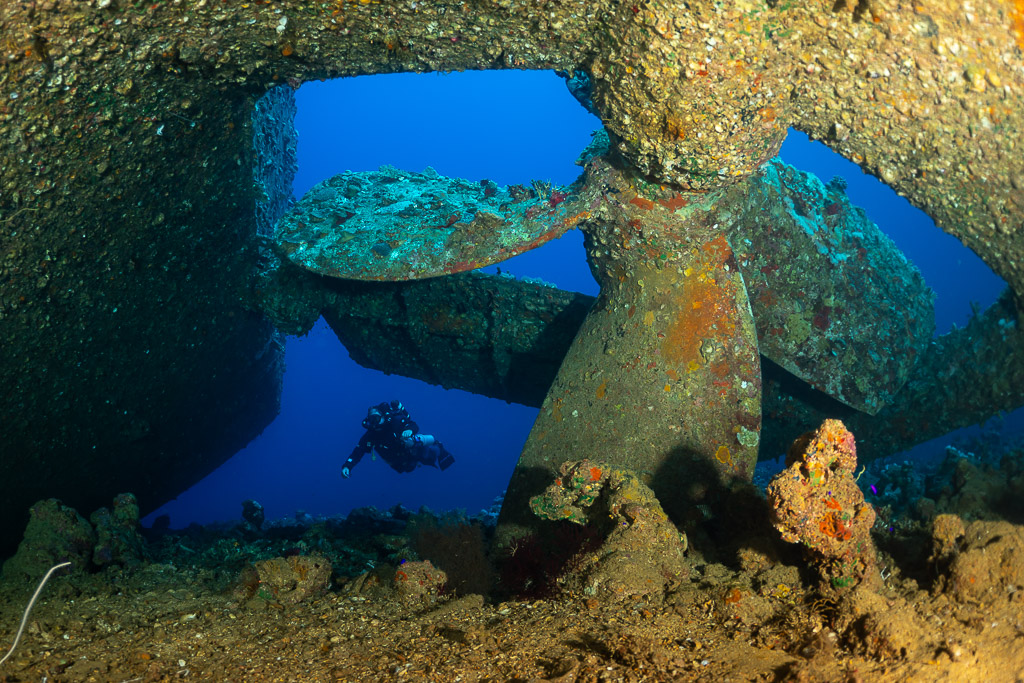 Diver framed between the blades of a coral-encrusted wreck propeller, Red Sea, Egypt