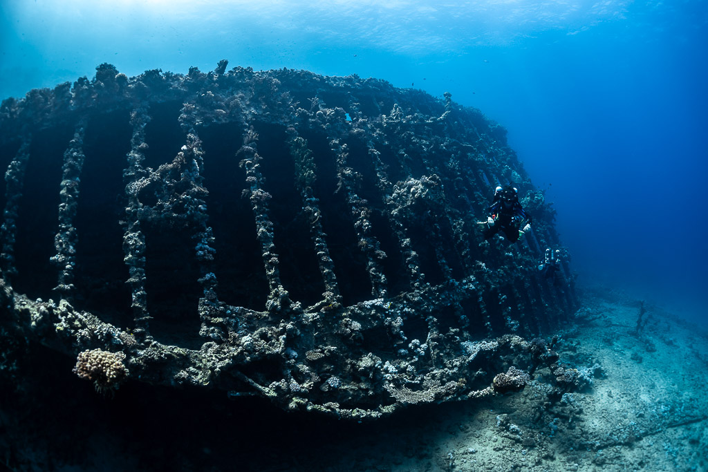 Rebreather diver beside the exposed ribs of a wreck hull, Red Sea, Egypt