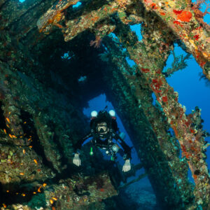 Rebreather diver framed in an opening of a coral-encrusted wreck, vertical, Red Sea, Egypt
