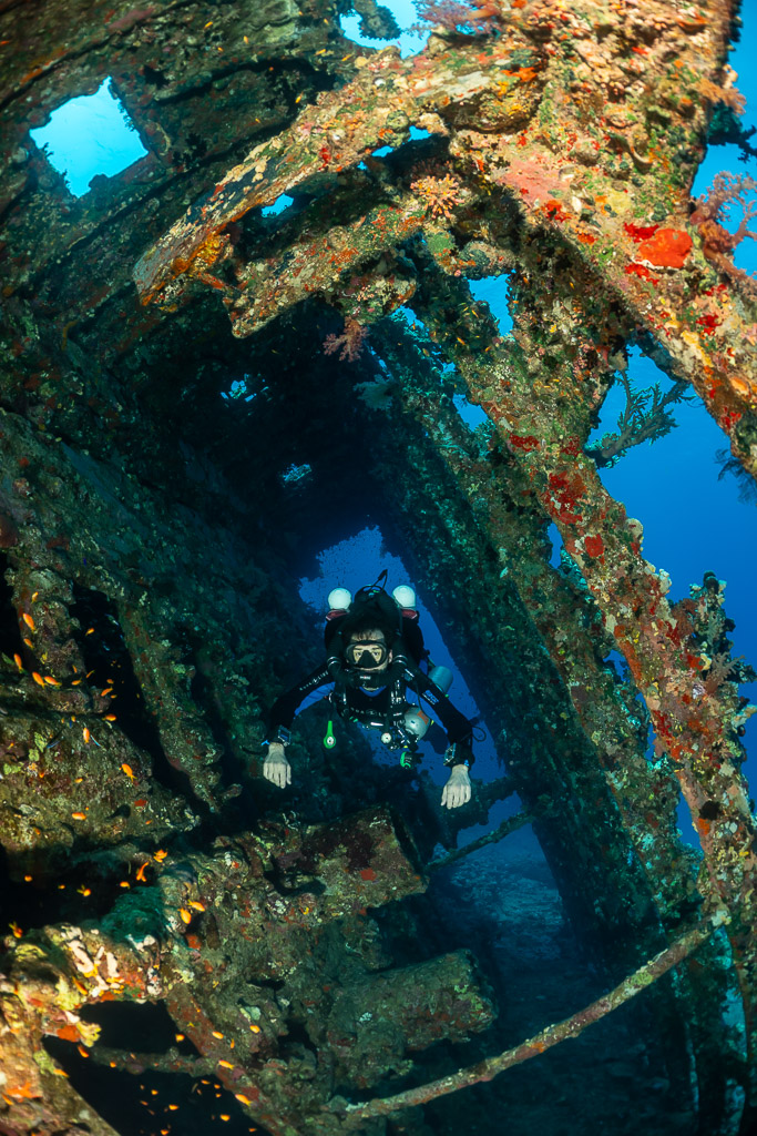 Rebreather diver framed in an opening of a coral-encrusted wreck, vertical, Red Sea, Egypt