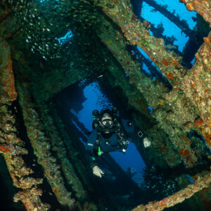 Diver inside a wreck framework with a school of glassfish, vertical, Red Sea, Egypt