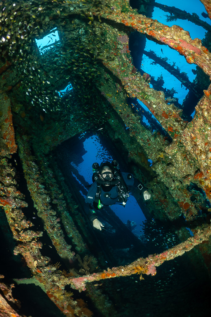 Diver inside a wreck framework with a school of glassfish, vertical, Red Sea, Egypt