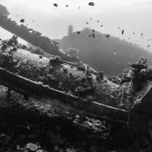 Black-and-white view of a collapsed wreck deck with fish above, Red Sea, Egypt