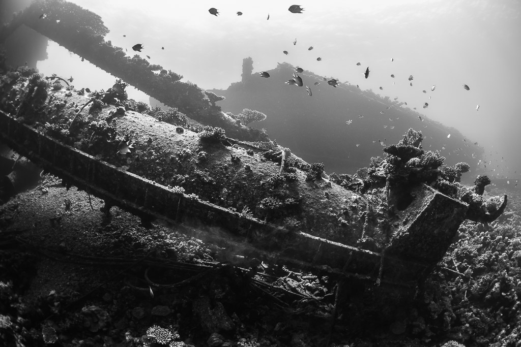 Pont effondré d’une épave avec des poissons au-dessus, en noir et blanc, mer Rouge, Égypte