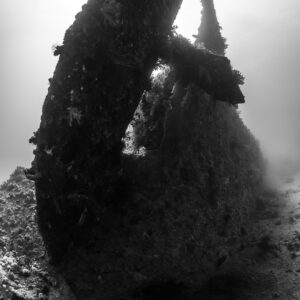 Poupe et étambot d’une épave en noir et blanc, vertical, mer Rouge, Égypte