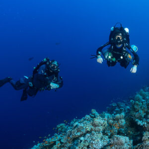 Two rebreather divers swimming above a reef edge in blue water, Red Sea, Egypt