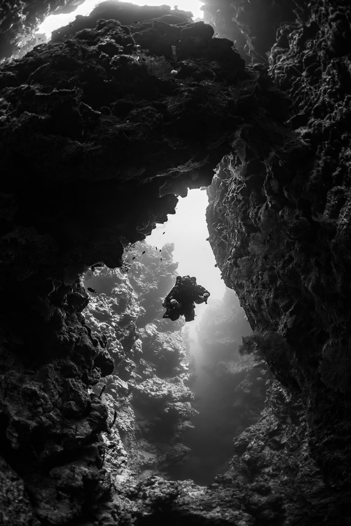Silhouette d’un plongeur encadré par une arche rocheuse, en noir et blanc, vertical rapproché, mer Rouge, Égypte