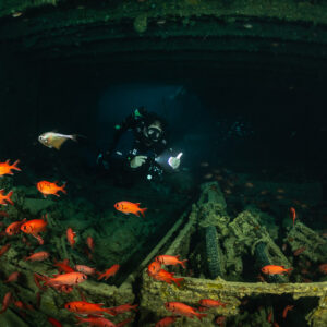 Rebreather diver among soldierfish above trucks loaded with motorcycles, Thistlegorm wreck, Red Sea, Egypt
