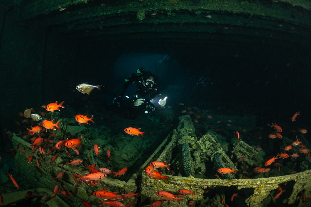 Rebreather diver among soldierfish above trucks loaded with motorcycles, Thistlegorm wreck, Red Sea, Egypt