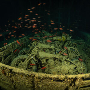 Motorcycles in a truck bed surrounded by soldierfish, no diver, Thistlegorm wreck, Red Sea, Egypt