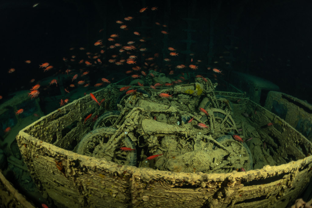 Motos dans une benne de camion entourées de poissons-soldats, sans plongeur, épave du Thistlegorm, mer Rouge, Égypte