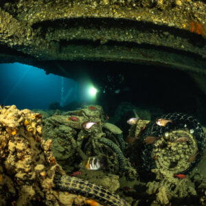 Encrusted motorcycles in a hold with a diver’s torch beyond, Thistlegorm wreck, Red Sea, Egypt