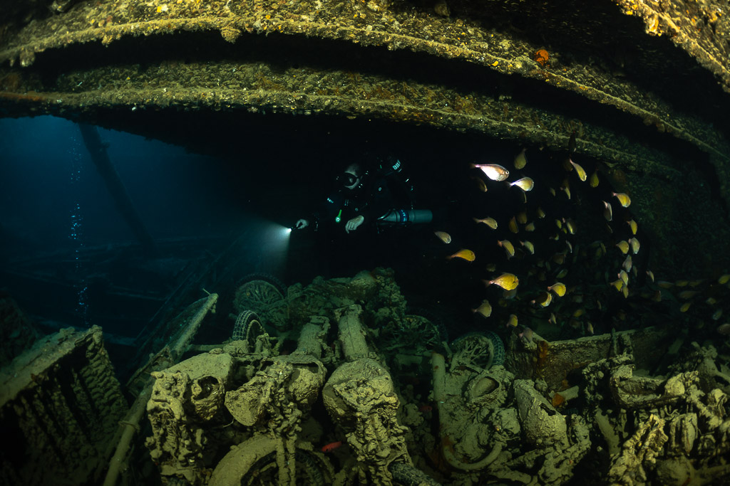 Rebreather diver with torch behind a school of fish over cargo, Thistlegorm wreck, Red Sea, Egypt