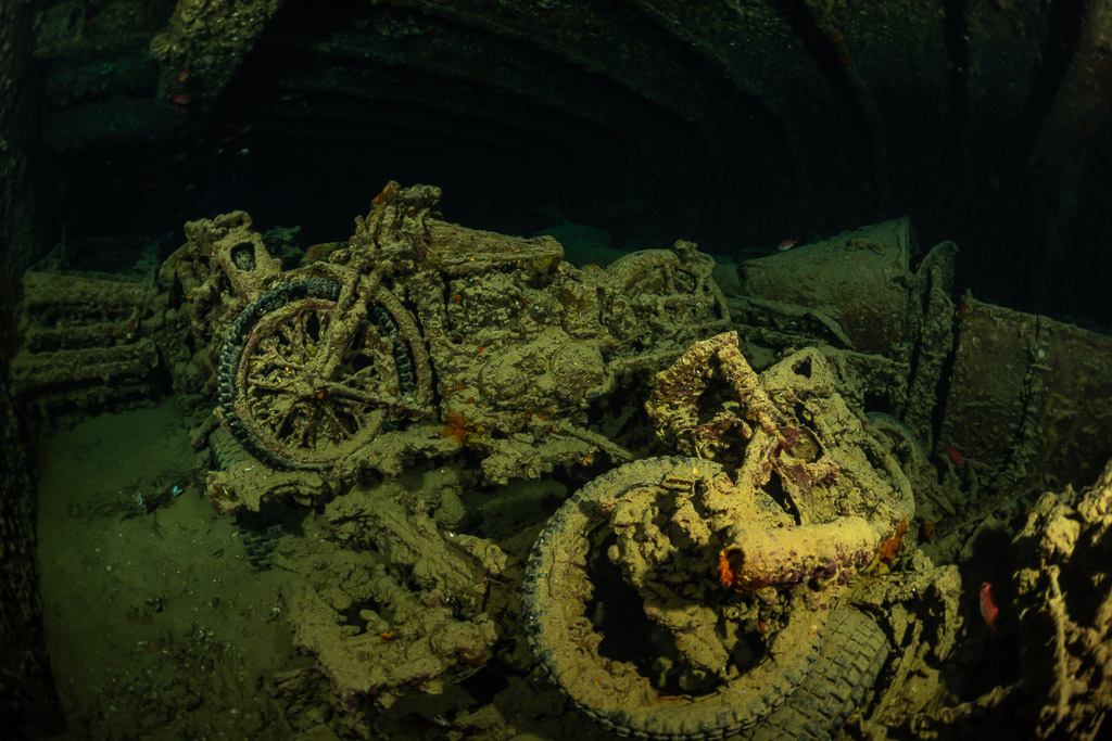 Close view of encrusted motorcycles lying in a cargo hold, Thistlegorm wreck, Red Sea, Egypt