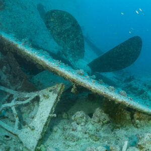 Wreck propeller behind a fallen hull plate, no diver, Thistlegorm wreck, Red Sea, Egypt