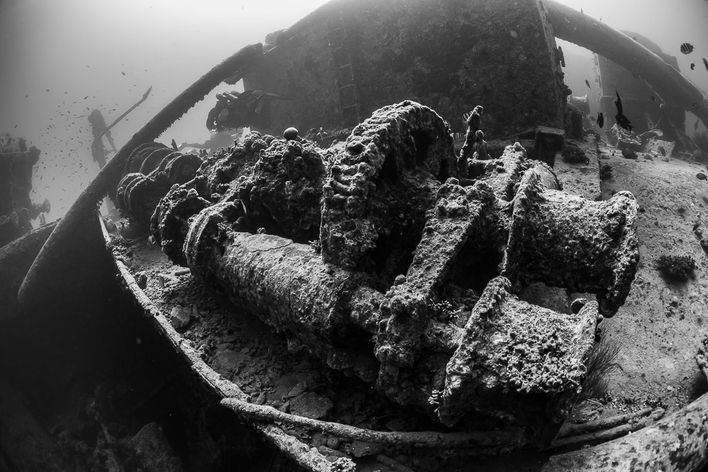 Black-and-white close view of an encrusted deck winch on a wreck, Thistlegorm wreck, Red Sea, Egypt