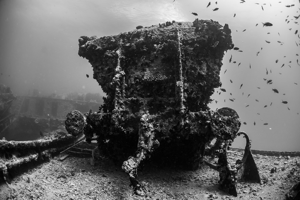 Wagon ferroviaire concrétionné vu de face avec des poissons, en noir et blanc, épave du Thistlegorm, mer Rouge, Égypte