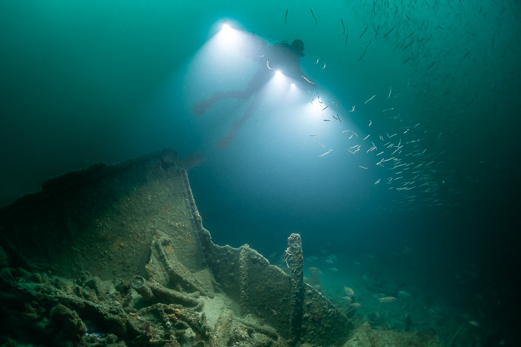 Diver lighting a shoal of small fish above a broken hull section, Saint-Malo, Brittany, France