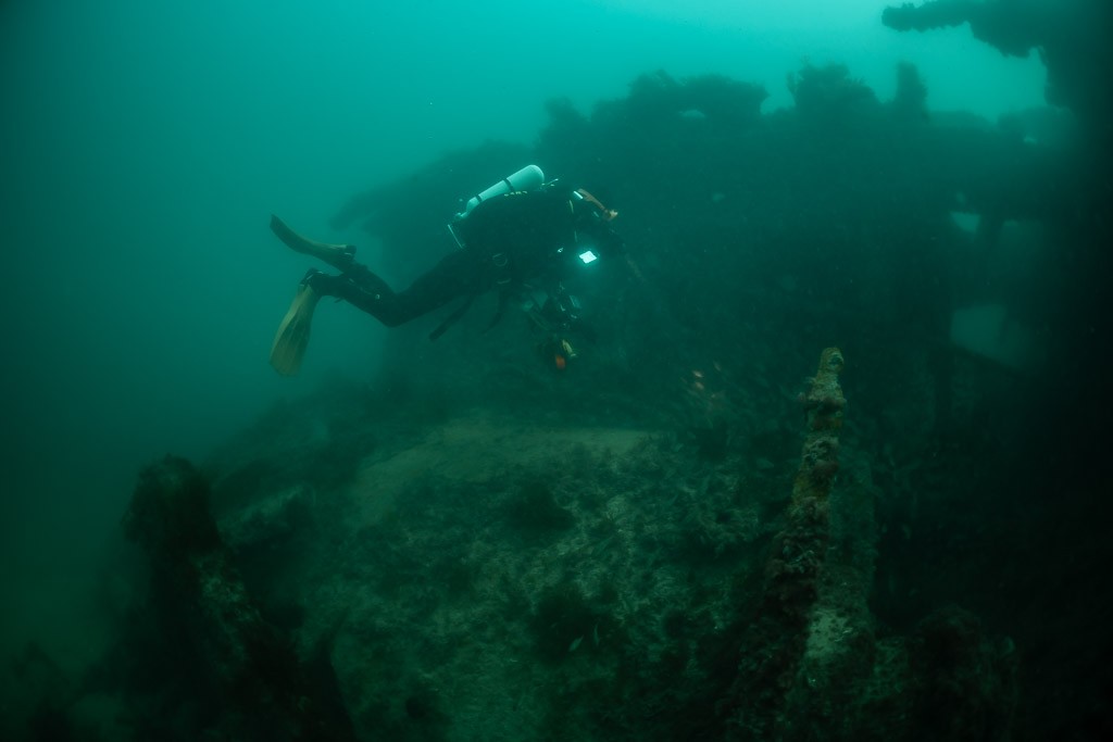 Diver swimming past encrusted structures of the Laplace wreck, Laplace wreck, Brittany, France