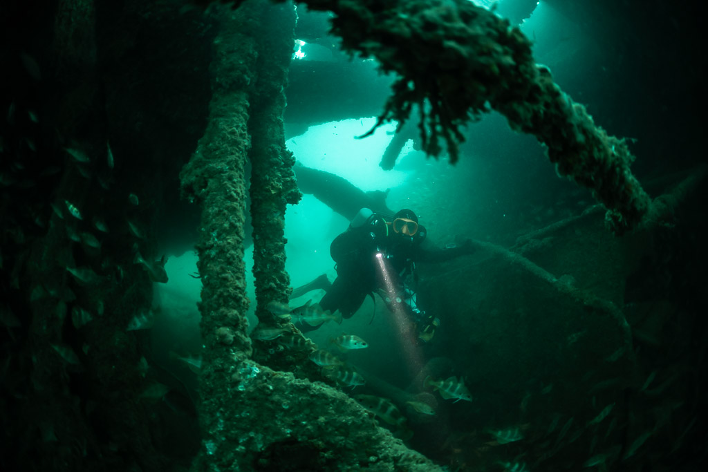 Diver with torch framed by encrusted pillars inside the Laplace wreck, Laplace wreck, Brittany, France