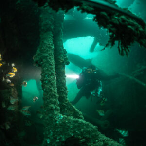 Diver with torch behind encrusted pillars and pouting inside the Laplace, Laplace wreck, Brittany, France