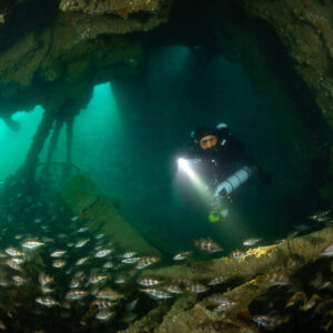 Diver with torch in a wreck chamber above a pouting school, Laplace wreck, Brittany, France