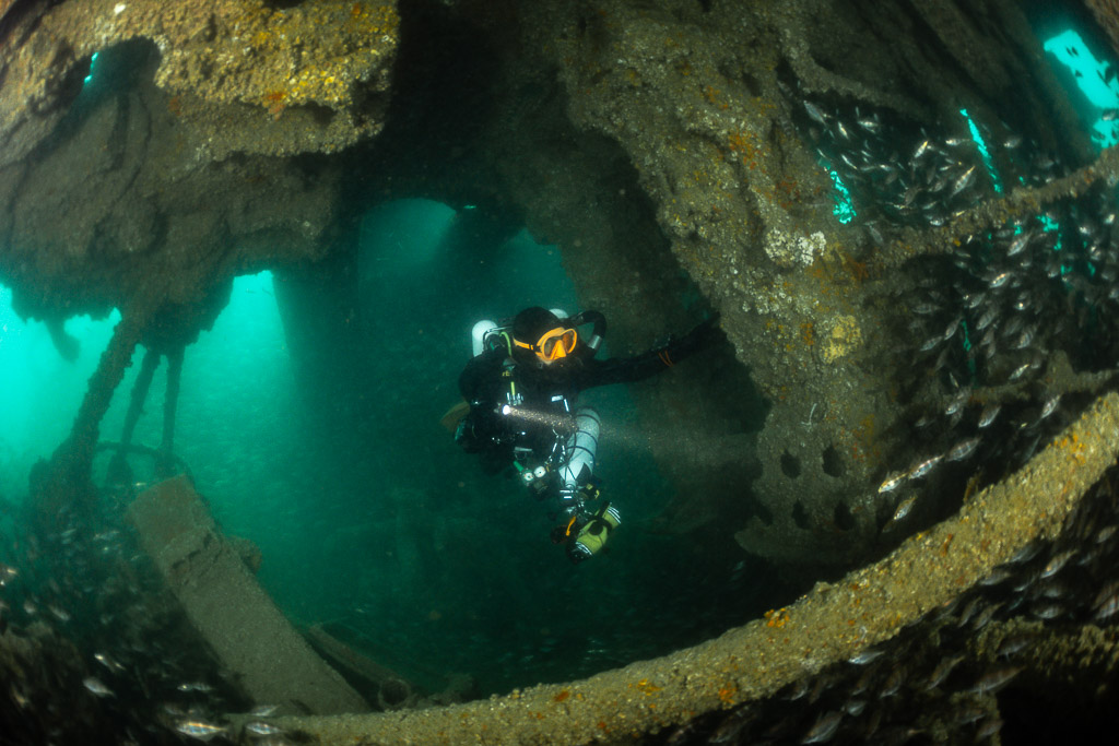 Diver framed in a rusty wreck archway with pouting below, Laplace wreck, Brittany, France