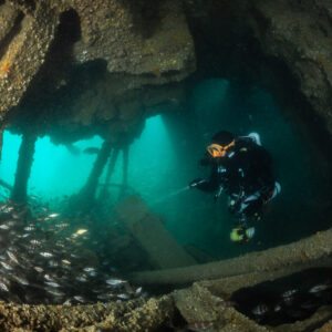 Diver inside the Laplace with a pouting school at lower left, Laplace wreck, Brittany, France
