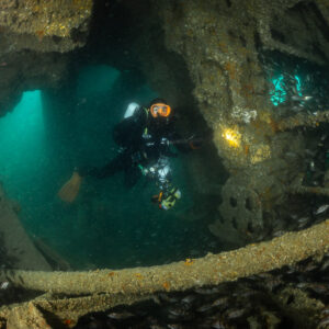 Diver under rusty orange beams with pouting school and encrusted pipe, Laplace wreck, Brittany, France