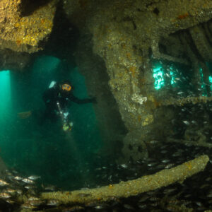Distant diver beneath orange-encrusted beams above a pouting school, Laplace wreck, Brittany, France