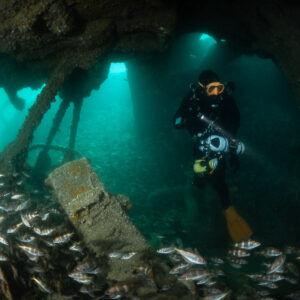 Diver facing camera with torch between wreck pillars and pouting, Laplace wreck, Brittany, France