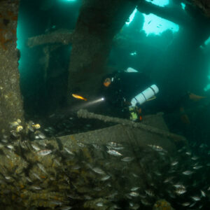 Rebreather diver lighting the wreck interior above a pouting school, Laplace wreck, Brittany, France