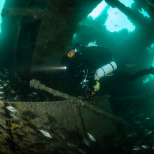 Diver with torch gliding over pouting under the Laplace hull beams, Laplace wreck, Brittany, France