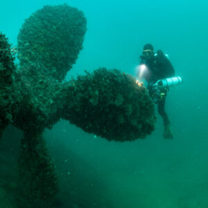 Diver lighting the encrusted propeller blades of the Laplace, vertical, Laplace wreck, Brittany, France