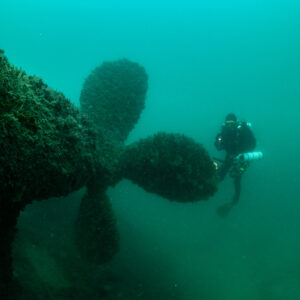 Encrusted propeller of the Laplace with a diver at one blade tip, Laplace wreck, Brittany, France