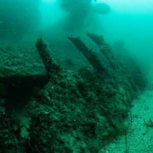 Encrusted hull section of the Laplace receding into green water, Laplace wreck, Brittany, France