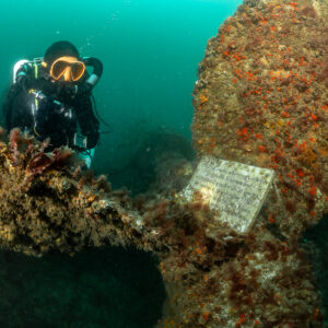 Diver at the colourful encrusted propeller with memorial plaque, lit, Laplace wreck, Brittany, France