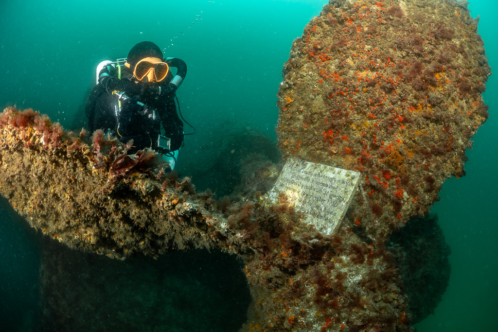 Diver at the colourful encrusted propeller with memorial plaque, lit, Laplace wreck, Brittany, France